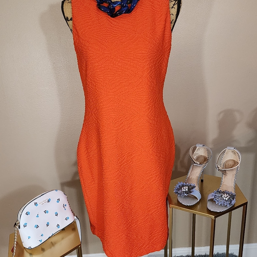 Calvin Klein Orange dress: size 8.